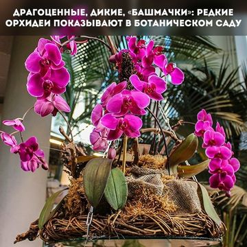 Photo of profile afishaminsk - DGB9X6wImH-