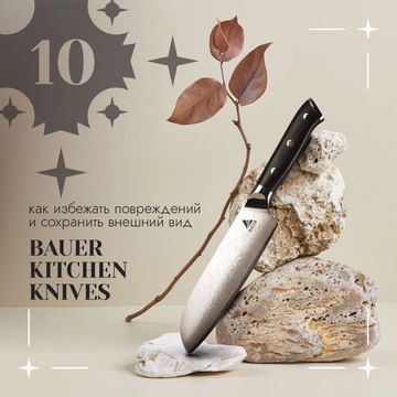 Photo of profile bauer_international - DEK2KqVOY6A