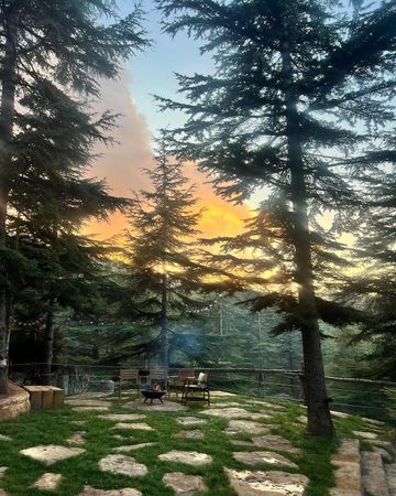 Photo of profile cedar_scent.lb - DE6mcGqNaZB
