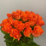 Photo of profile flowersshopdorors - DDZ91hmCPwr