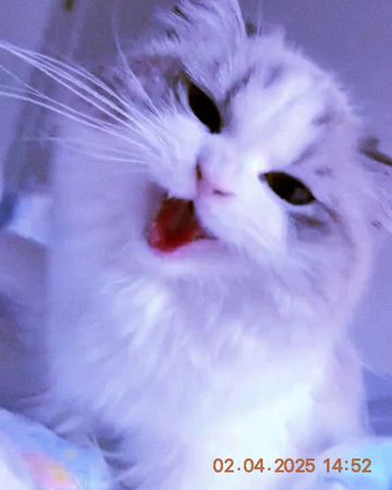 Photo of profile goost.music - DFpnST8oqbh