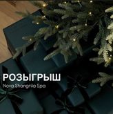 Фото профиля novashangrila_spa - DEhe7Q7N-5W