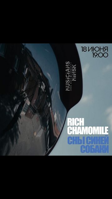 Photo of profile rich_chamomile - CtfrUs9okoW