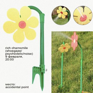 Photo of profile rich_chamomile - DFuwtPVovaD