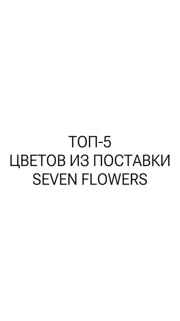 Photo of profile sevenflowers.by - DE4fA7qNLxQ