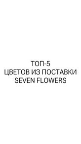 Фото профиля sevenflowers.by - DE4fA7qNLxQ