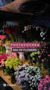 Фото профиля sf_flowerstudio - DFcoWcatvXy